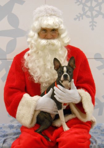 santapaws2012_0199.jpg