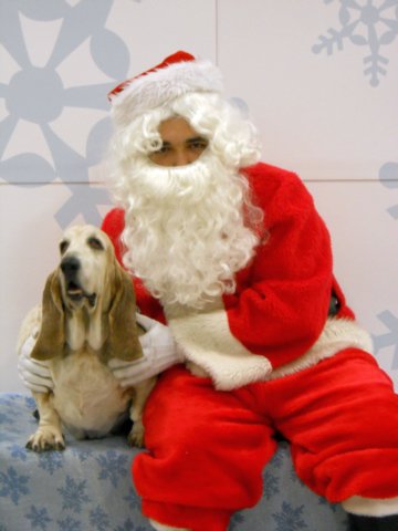 santapaws2012_0205.jpg