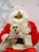 santapaws2012_0206_small.jpg