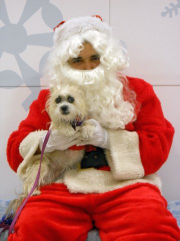 santapaws2012_0207.jpg