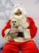 santapaws2012_0207_small.jpg