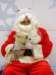 santapaws2012_0208_small.jpg