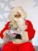santapaws2012_0209_small.jpg