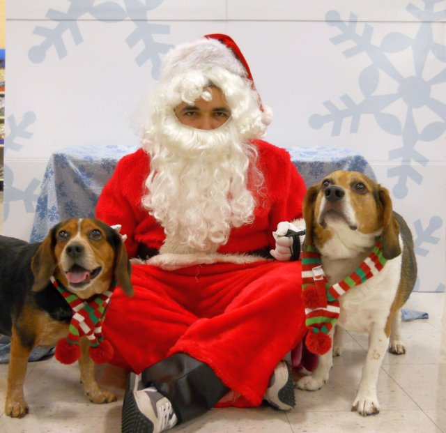 santapaws2012_0210.jpg