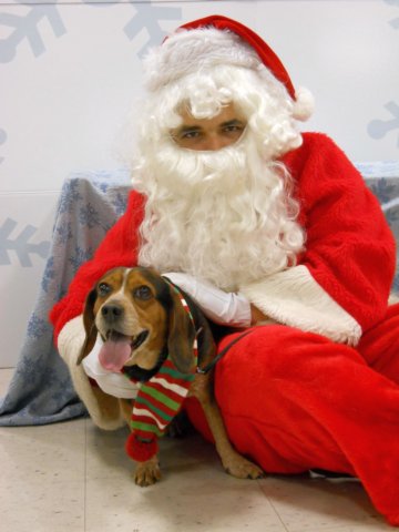 santapaws2012_0215.jpg