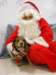 santapaws2012_0216_small.jpg