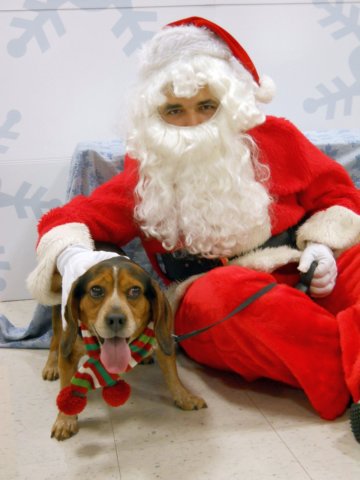 santapaws2012_0218.jpg