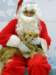 santapaws2012_0223_small.jpg