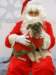 santapaws2012_0224_small.jpg