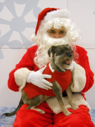 santapaws2012_0227.jpg