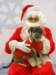 santapaws2012_0227_small.jpg