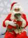 santapaws2012_0228_small.jpg