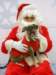 santapaws2012_0229_small.jpg