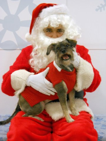 santapaws2012_0230.jpg