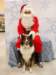 santapaws2012_0231_small.jpg