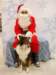 santapaws2012_0232_small.jpg