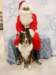 santapaws2012_0233_small.jpg