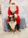 santapaws2012_0234_small.jpg