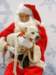 santapaws2012_0242_small.jpg