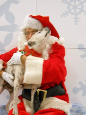 santapaws2012_0243.jpg