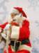 santapaws2012_0243_small.jpg