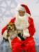 santapaws2012_0245_small.jpg