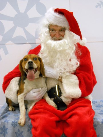 santapaws2012_0247.jpg