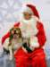 santapaws2012_0247_small.jpg