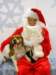 santapaws2012_0248_small.jpg