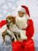 santapaws2012_0250_small.jpg