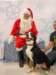 santapaws2012_0251_small.jpg