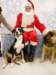 santapaws2012_0252_small.jpg