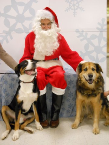 santapaws2012_0253.jpg