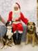 santapaws2012_0253_small.jpg