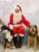 santapaws2012_0254_small.jpg