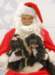santapaws2012_0255_small.jpg