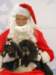santapaws2012_0258_small.jpg