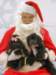 santapaws2012_0261_small.jpg
