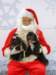 santapaws2012_0264_small.jpg