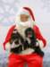 santapaws2012_0265_small.jpg
