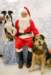 santapaws2012_0266_small.jpg