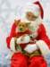 santapaws2012_0269_small.jpg