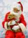 santapaws2012_0270_small.jpg