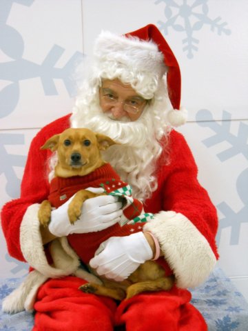santapaws2012_0271.jpg