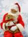 santapaws2012_0271_small.jpg