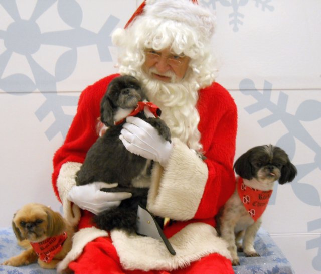 santapaws2012_0273.jpg