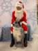 santapaws2012_0274_small.jpg