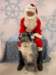 santapaws2012_0275_small.jpg