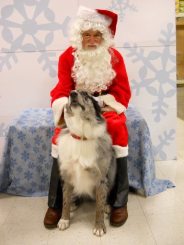 santapaws2012_0276.jpg