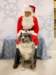 santapaws2012_0277_small.jpg
